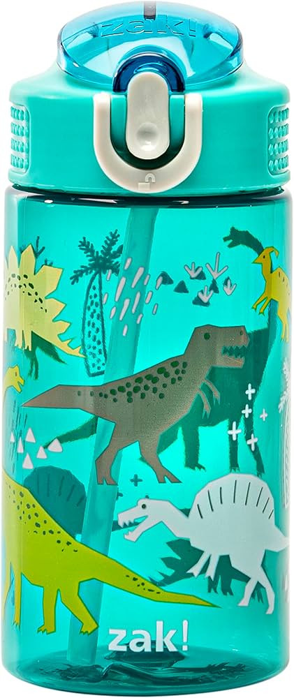 Zak Designs Dinosaur 16oz Leak-Proof Straw Kids Water Bottle, Plastic | Amazon (US)