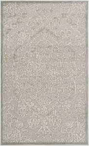 SAFAVIEH Paradise Collection Accent Rug - 2'7" x 4', Silver, Oriental Viscose Design, Ideal for H... | Amazon (US)