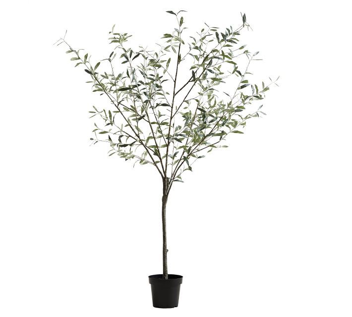 Faux Potted Olive Tree, XL | Pottery Barn (US)