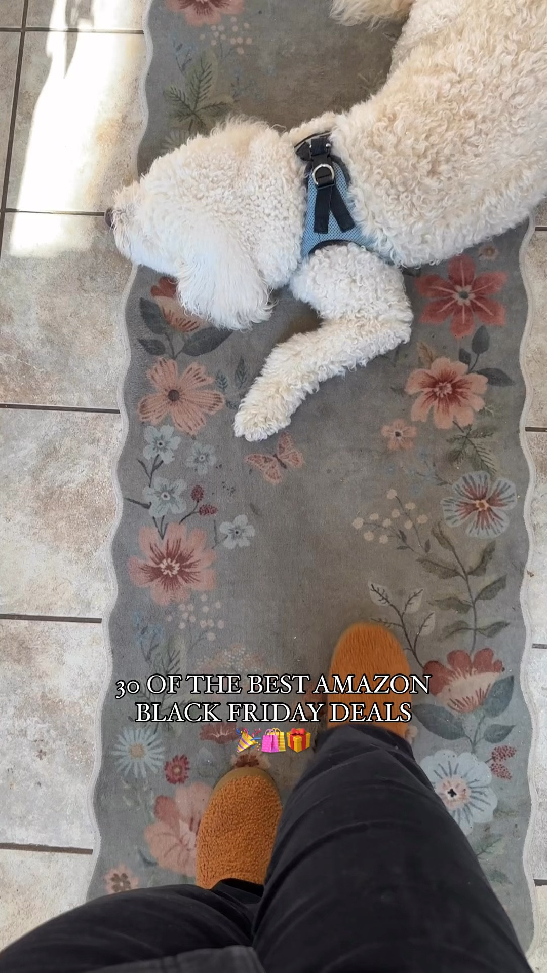 HOME, BEAUTY, FASHION, TOYS, & MORE 🎉

Amazon has tons of Black Friday sales already & this is a round up of my favorite things!!



#LTKCyberWeek #LTKGiftGuide #LTKHoliday