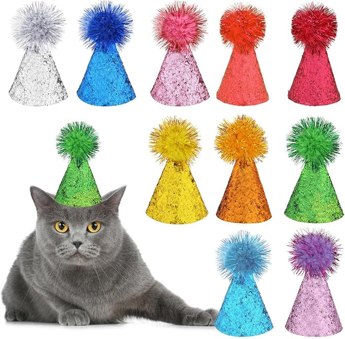 10 Packs Multi-Color Cat Birthday Hat Cute Dog Party Hats with Pom Poms Glitter Adjustable Mini D... | Amazon (US)
