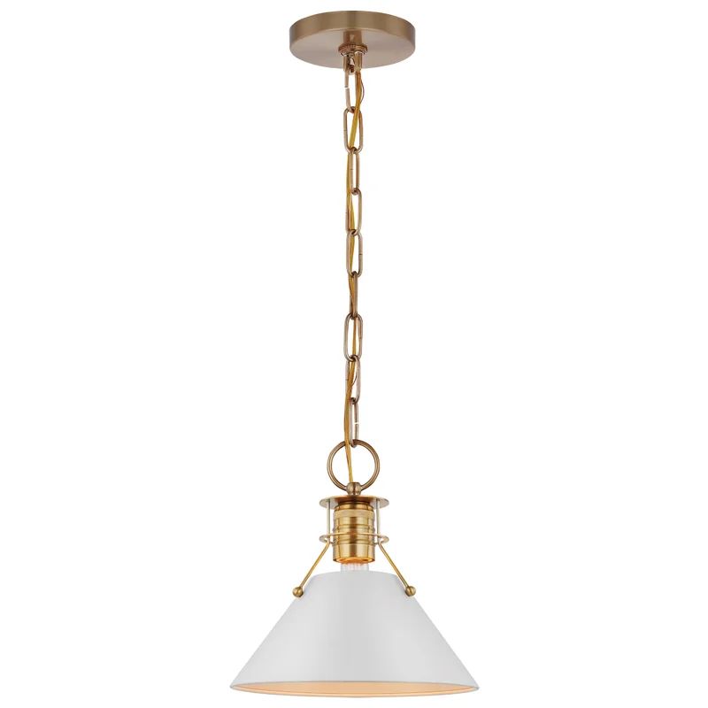 Rodarte 1 - Light Single Cone Pendant | Wayfair Professional