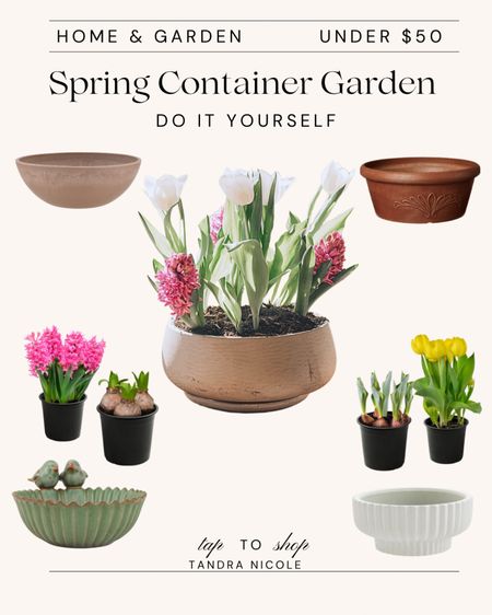 Ready for spring gardening? Bring the outdoors in with this do-it-yourself spring container garden.

#SpringSplendor #ContainerGardening
#SpringPlanting #EarlyGardening #ContainerGarden #tulips #hyacinths
#GreenThumb #SpringTime #BloomingBeauty
#UrbanGardening #walmartfinds #gardening 

#LTKfindsunder50 #LTKhome #LTKSeasonal