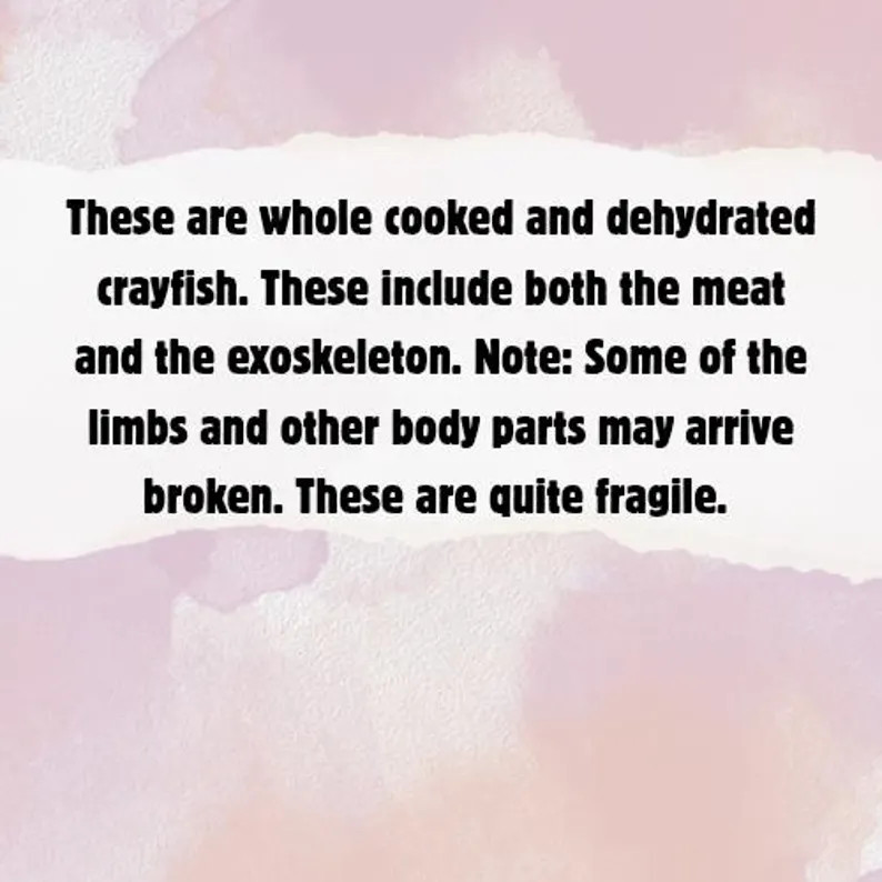 Whole Crayfish- Hermit Crab Food | Etsy (Global)