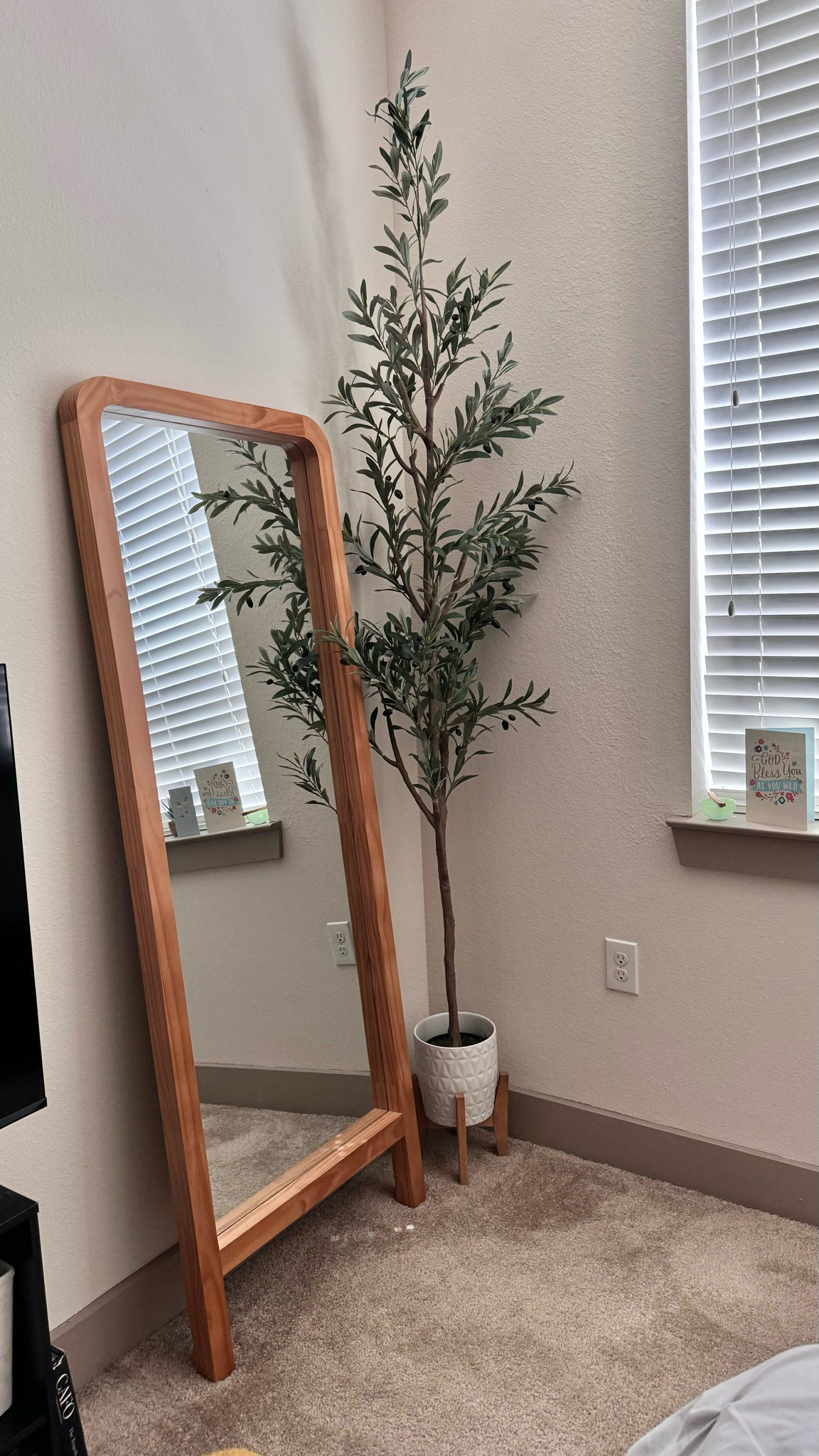Amazon prime deal
7.6FT (92'') Olive Tree Tall Skinny Artificial Plants
Faux tall plant
Home decor plant 
Full length mirror (Believe it’s old from either Target or Walmart)

#LTKHome