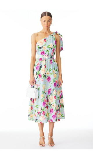 Foxy Dress in Sweet Nothing | Revolve Clothing (Global)