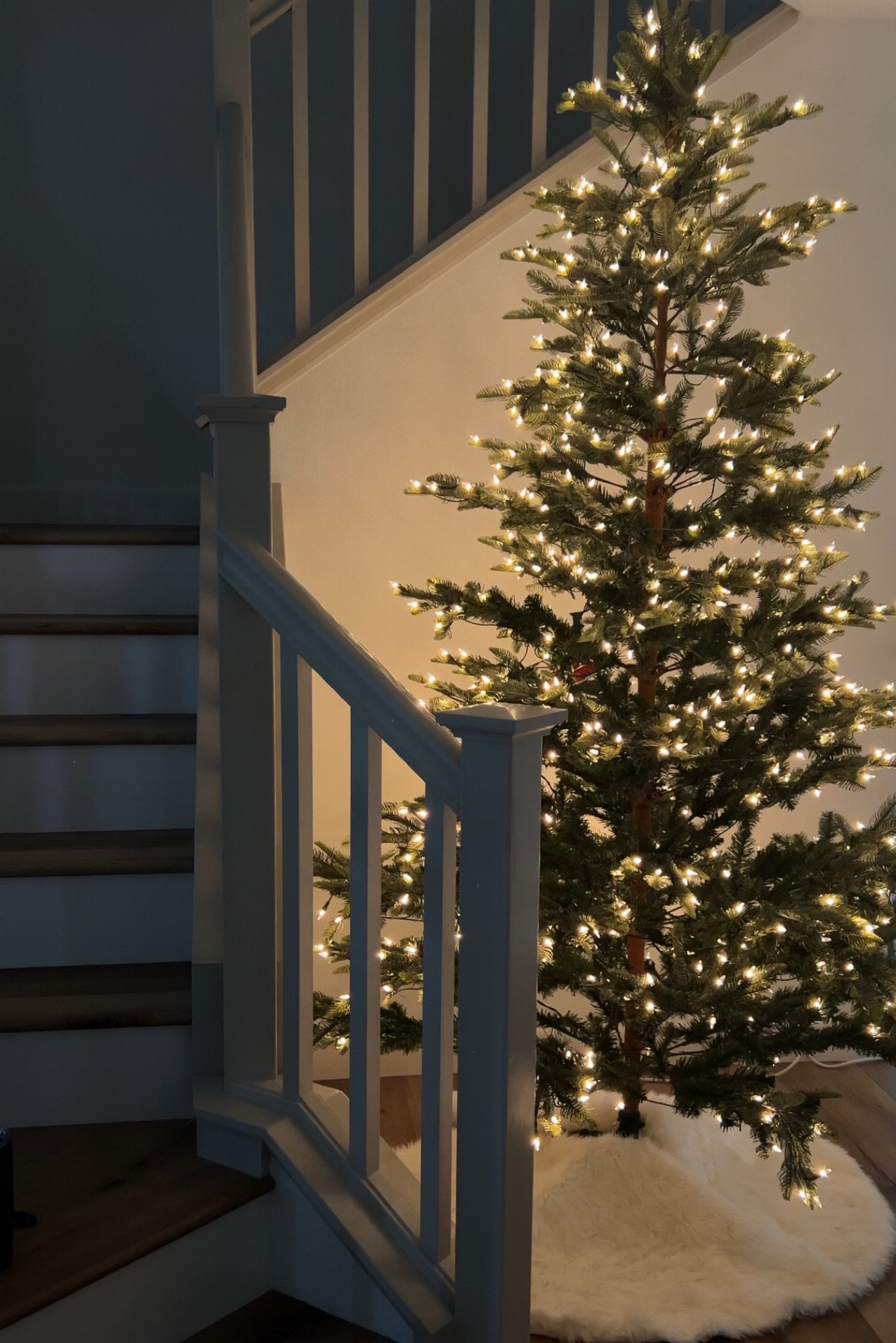 Christmas tree 

xo, Sandroxxie by Sandra
www.sandroxxie.com | #sandroxxie


#LTKHoliday #LTKSeasonal #LTKCyberWeek