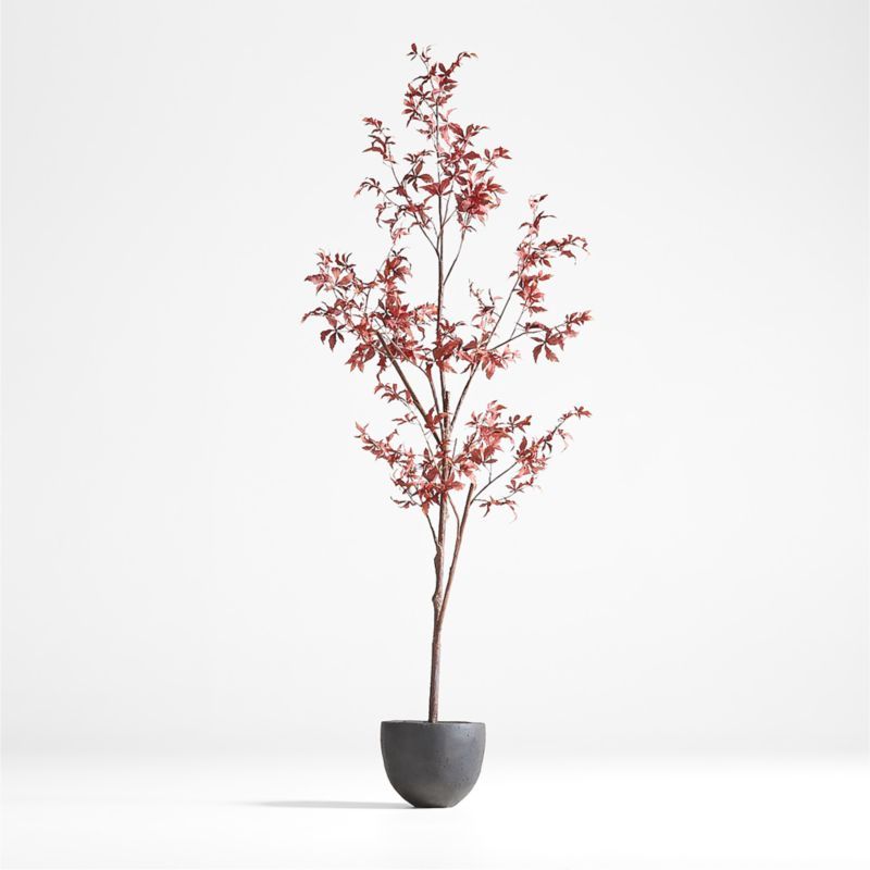 Potted Faux Maple Tree 7.5' + Reviews | Crate & Barrel | Crate & Barrel