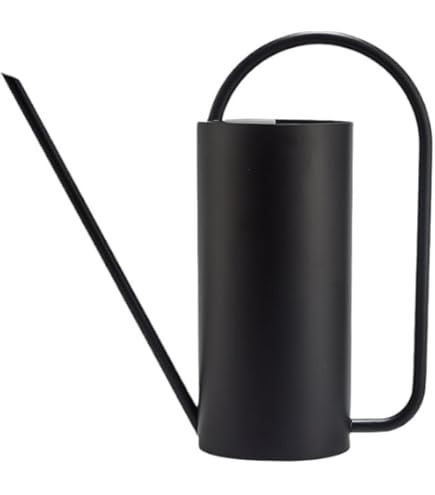 Plant Watering Can, 50 oz / 1500 ml Stainless Steel Metal - Modern Decorative with Long Spout for... | Amazon (US)