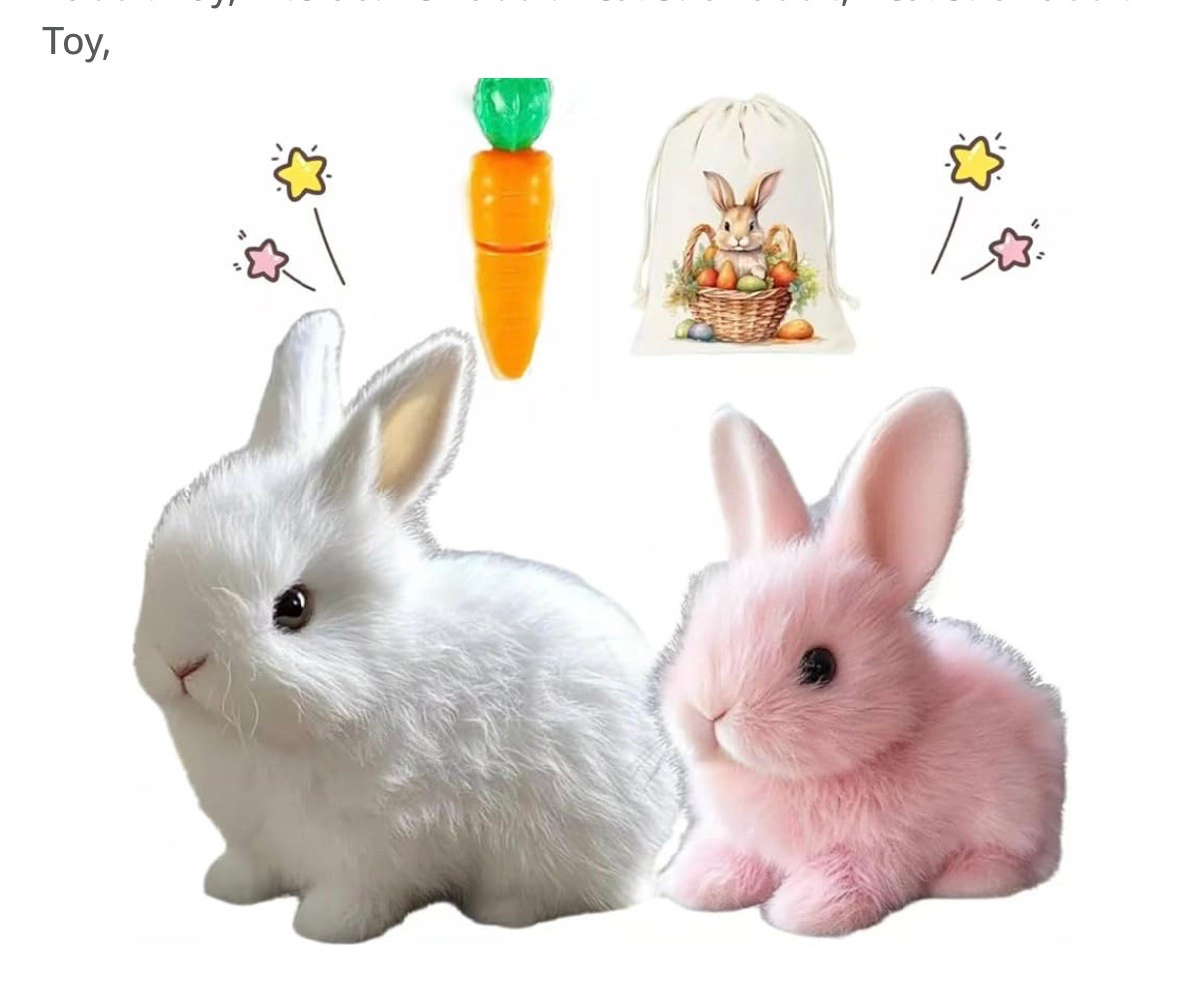 #easter #bunny #bunnytoy #easterbasket #gift #basketstuffer

#LTKBump