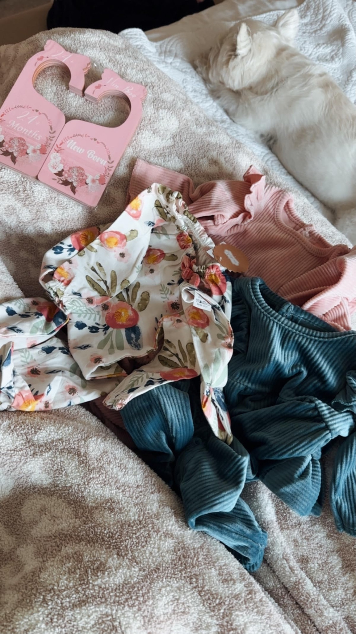 Amazon Baby Girl Haul!

#LTKKids #LTKBaby #LTKFindsUnder50