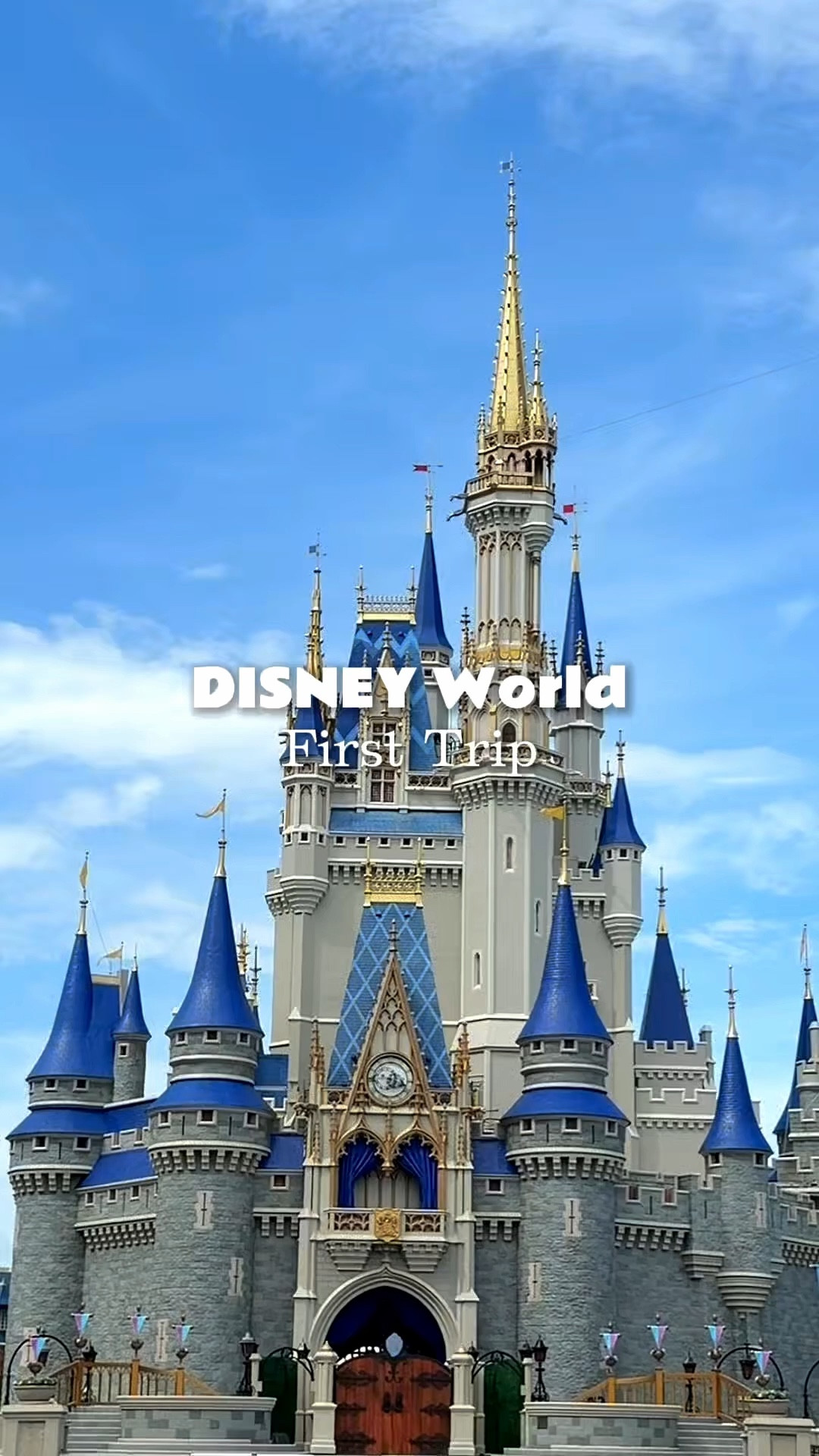 Disney World First Trip

#LTKBaby #LTKKids #LTKTravel