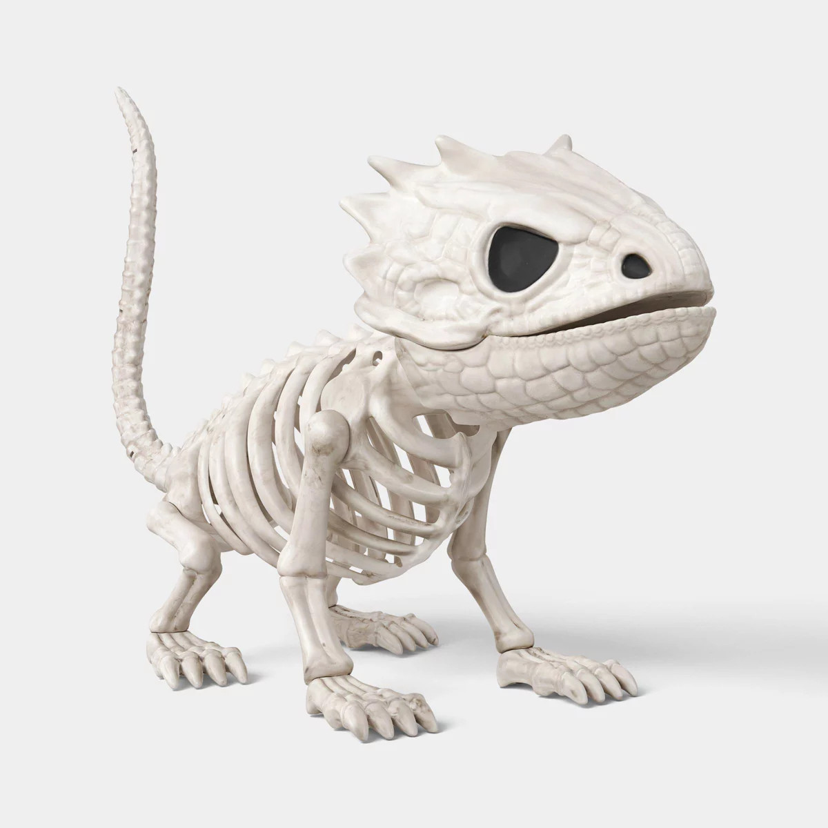 11" Small Lizard Skeleton Decorative Prop - Hyde and EEK! Boutique\u2122: Halloween | Target