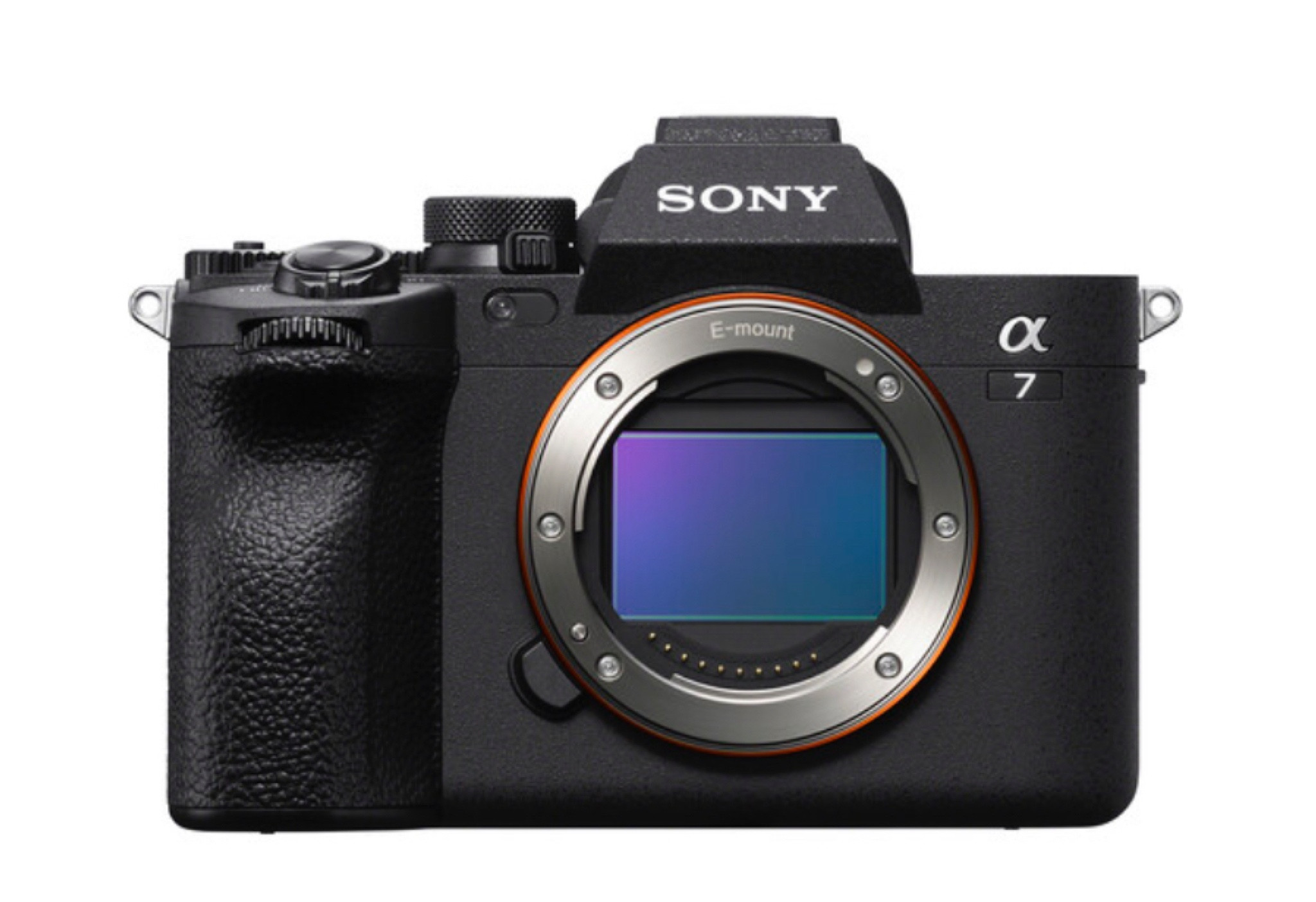 My fave Sony camera- always perfect focus tracking and colors!

#LTKVideo #LTKfamily #LTKtravel