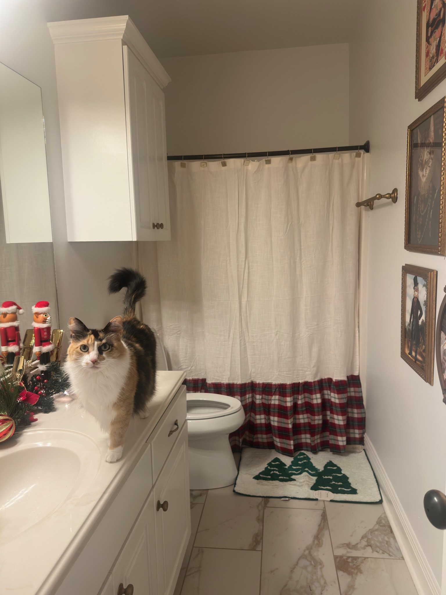 bathroom setup! mat and shower curtain are on sale! 🎄#christmasdecor #christmasbathroom 

#LTKSeasonal #LTKHoliday