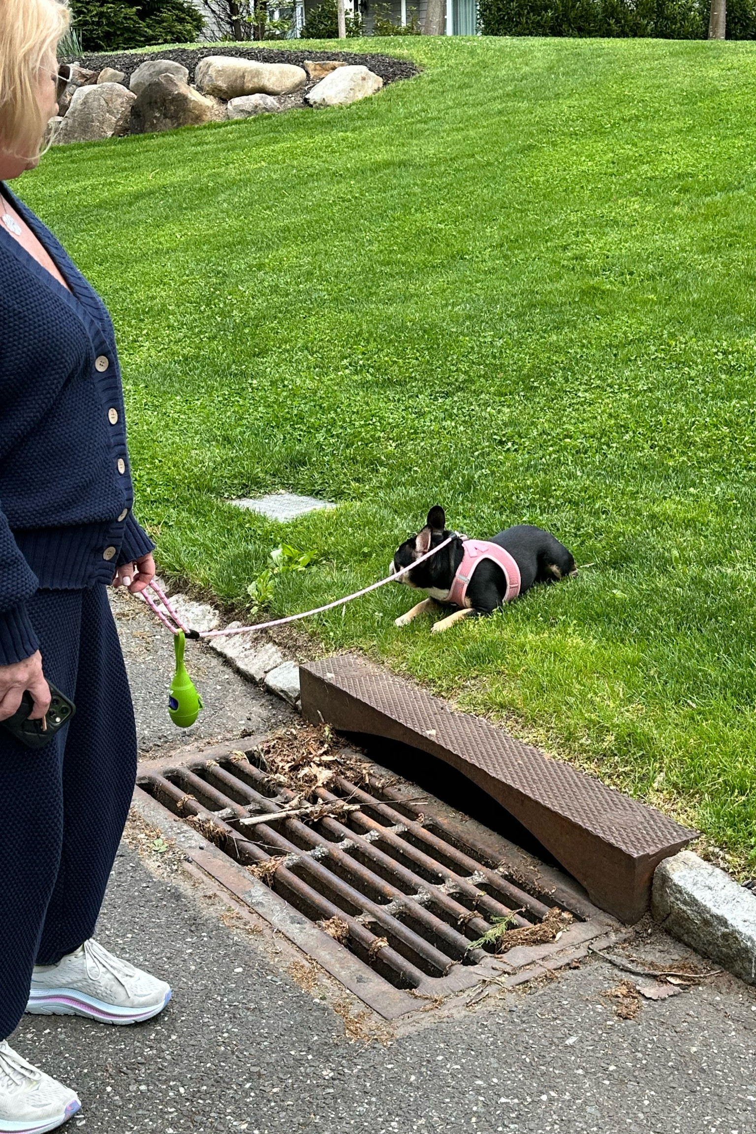 dog harness. My frenchie is about 22 pounds and wears a large for size reference

#LTKSaleAlert #LTKStyleTip #LTKFamily