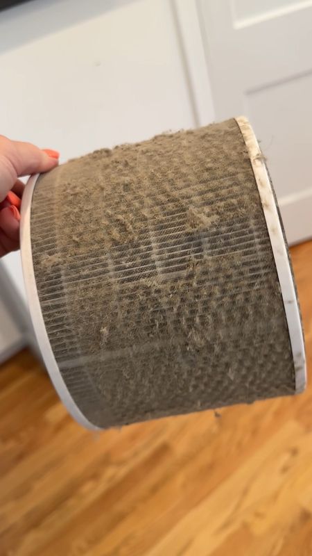 Pet home must-have- look at how dirty the air purifier got in 3 weeks?! I have 2 dogs and a cat and this is life changing

#LTKVideo #LTKhome