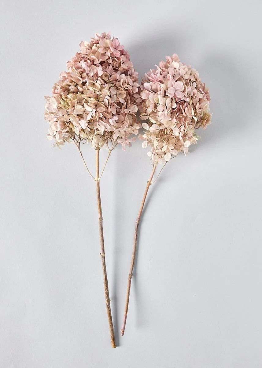 Light Mauve Pink Preserved Hydrangea | Dried Flowers at Afloral.com | Afloral