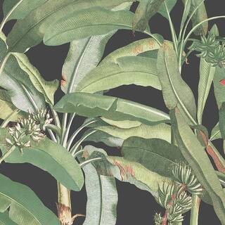 Polynesian Leaves Vinyl Roll Wallpaper (Covers 56 sq. ft.) | The Home Depot