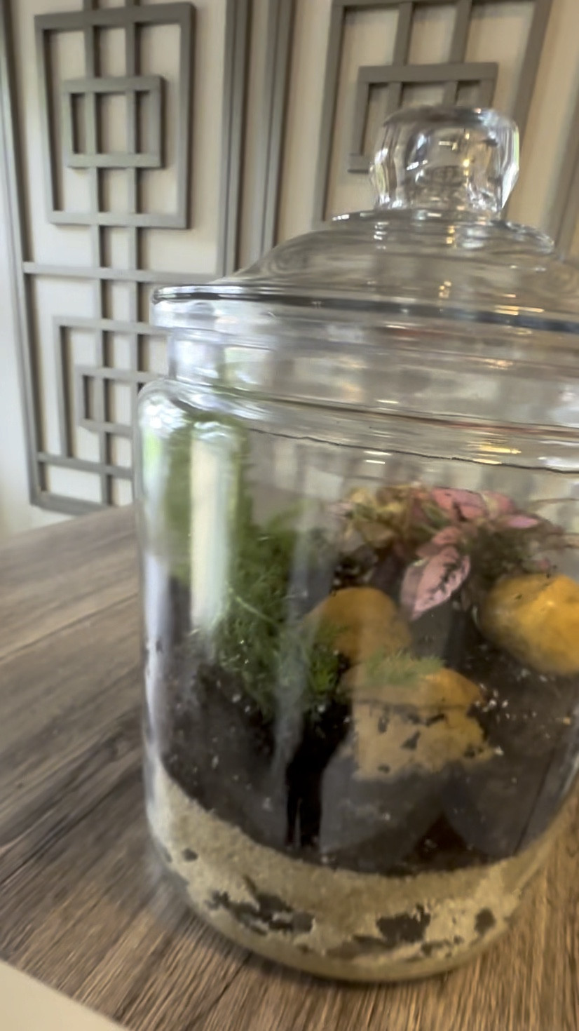 Create this high-end, easy to care for terrarium!

#LTKstyletip #LTKhome #LTKsalealert