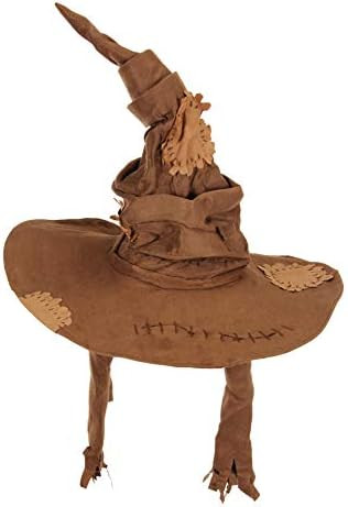 Harry Potter Costume Sorting Hat | Amazon (US)