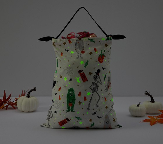 Rifle Paper Co. Pillowcase Treat Bag | Pottery Barn Kids