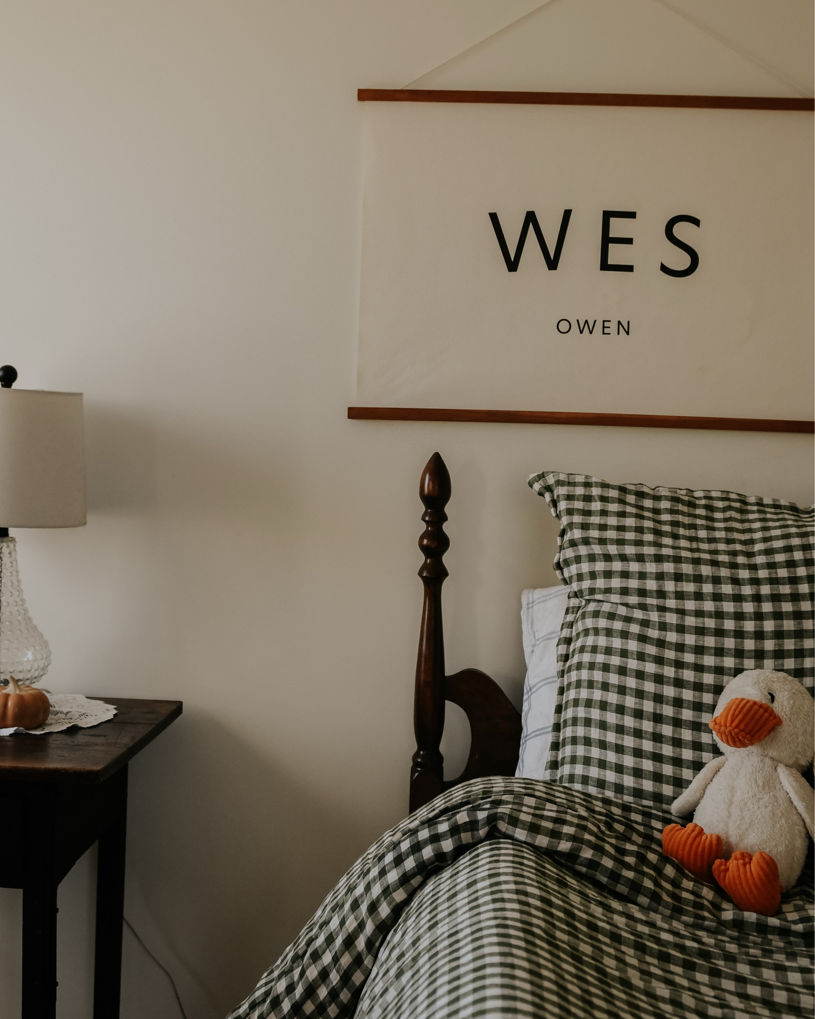 Wesley’s room is the sweetest. This beautiful gingham duvet is accented with our current favorite stuffy 🦆 

#LTKKids #LTKHome