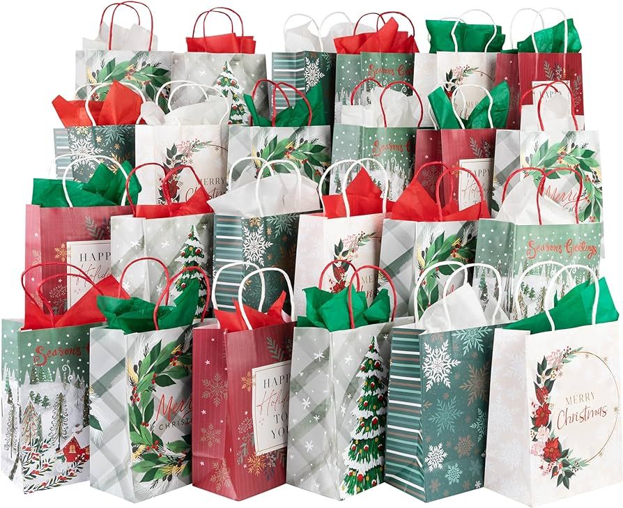 Plum Designs 24 Christmas Gift Bags Bulk- Christmas Gift Bags Medium Size (7"x9"x3.75")- Medium C... | Amazon (US)