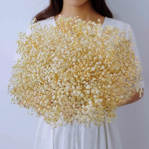 4000+ Dried-Babys-Breath-Bouquet-17.2 inch Dried Flowers, Natural Gypsophila Branches for Home Decor, Wedding, Table Decor, DIY Wreath Floral, Dry Flowers Bulk for Vase (Ivory White) | Amazon (US)