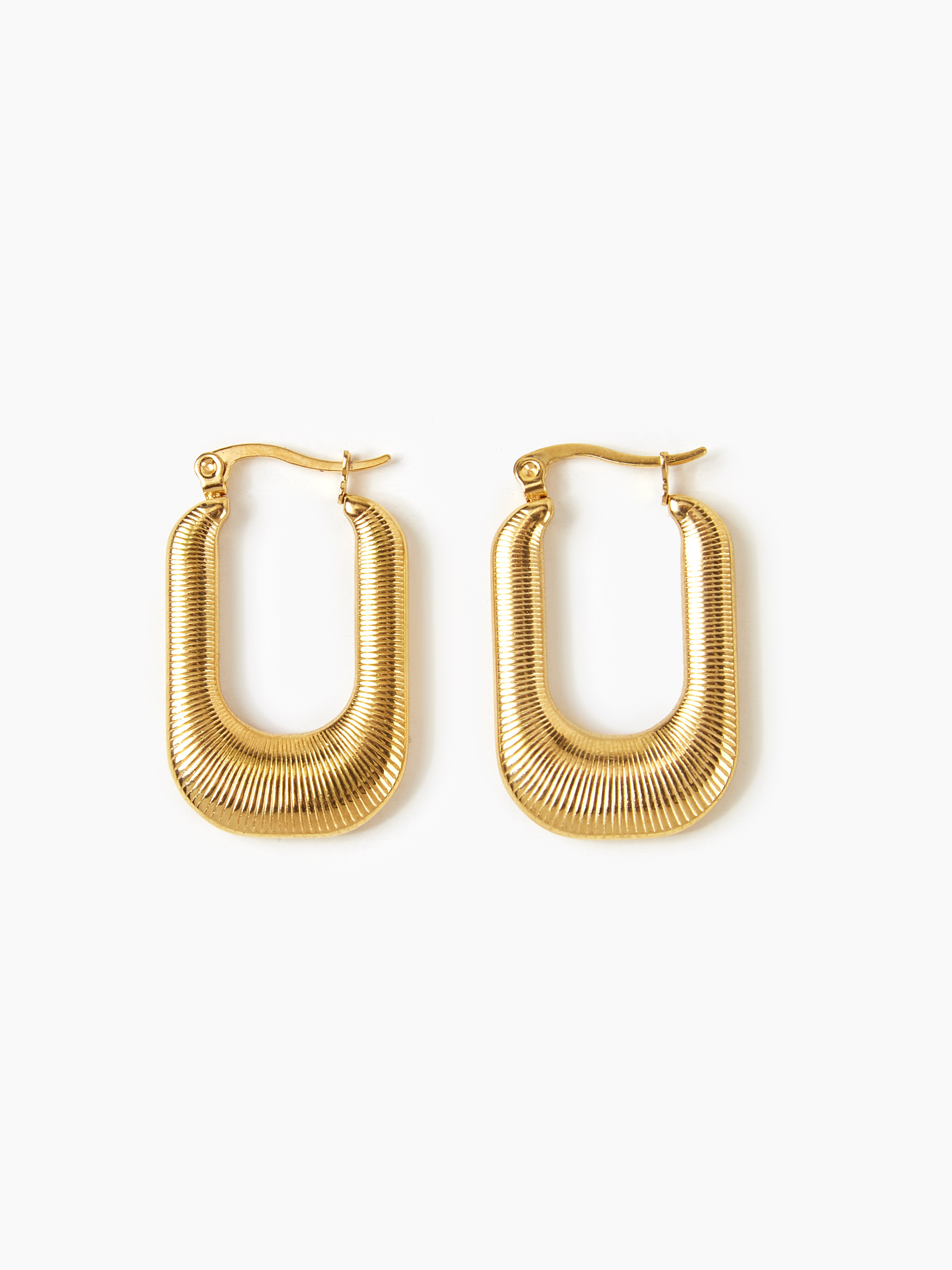 Hoop Decor Earrings | Cider