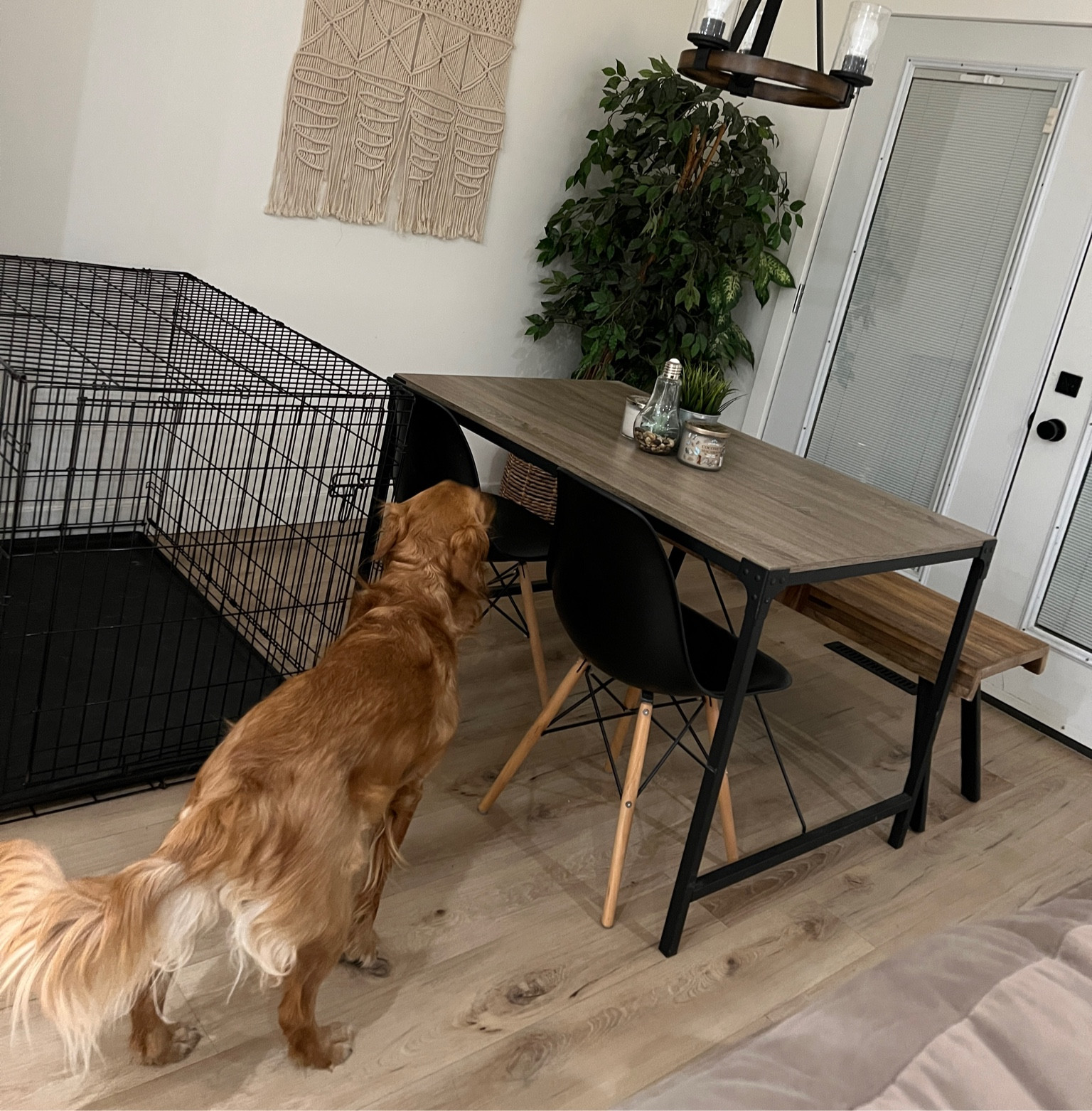 Cute kitchen table that can work in apartments + houses 🫶🏼  linking similar updated style as I bought this over 5 years ago 

#LTKHoliday #LTKhome #LTKstyletip