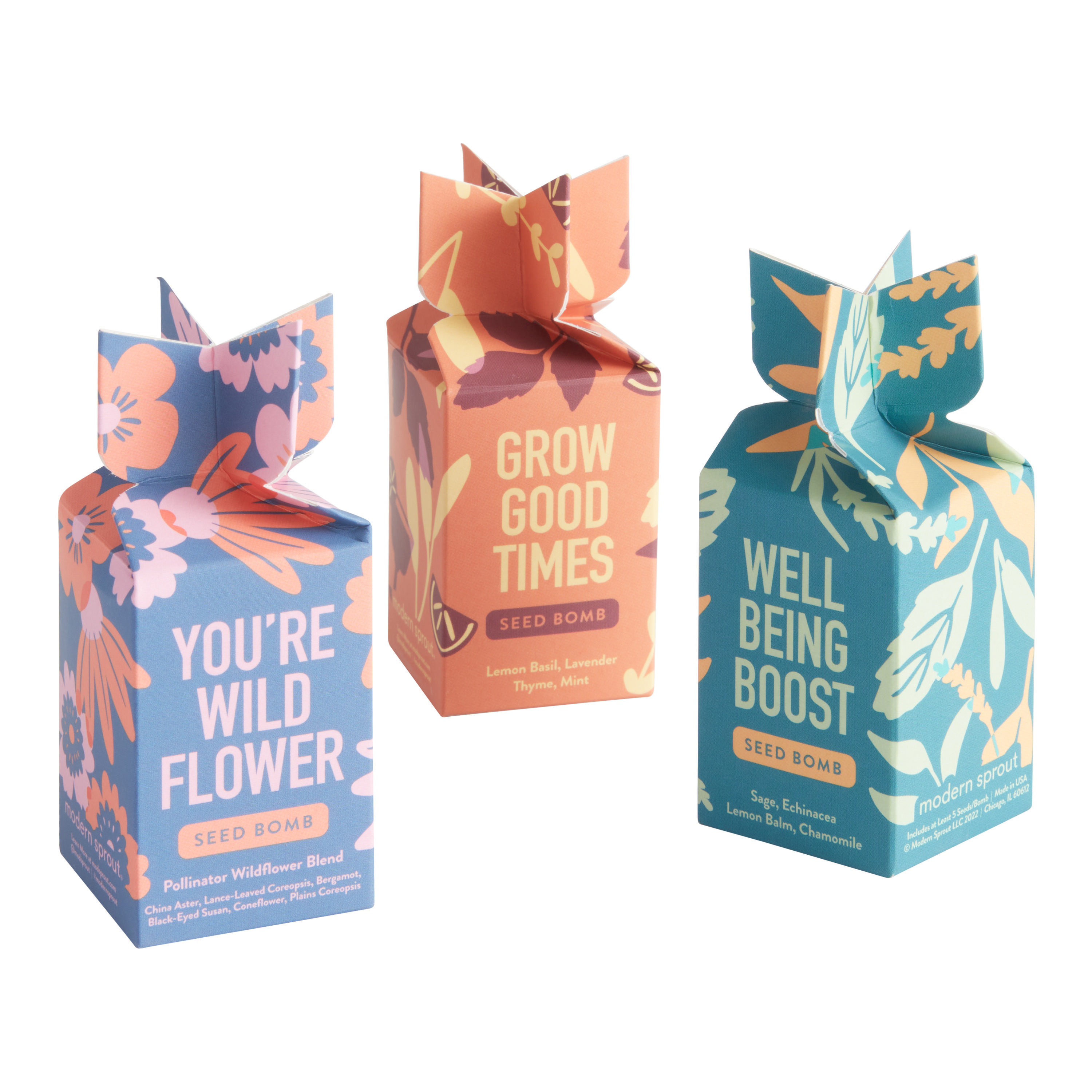 Modern Sprout Seed Bomb Popper Set of 3 | World Market