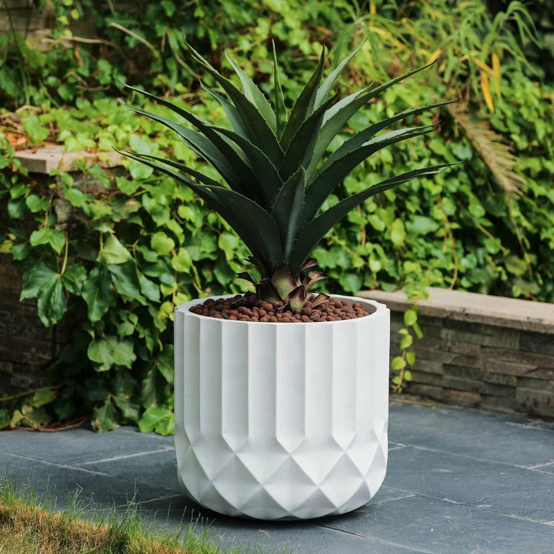 Modern Magnesium Oxide Pot Planter | Wayfair North America