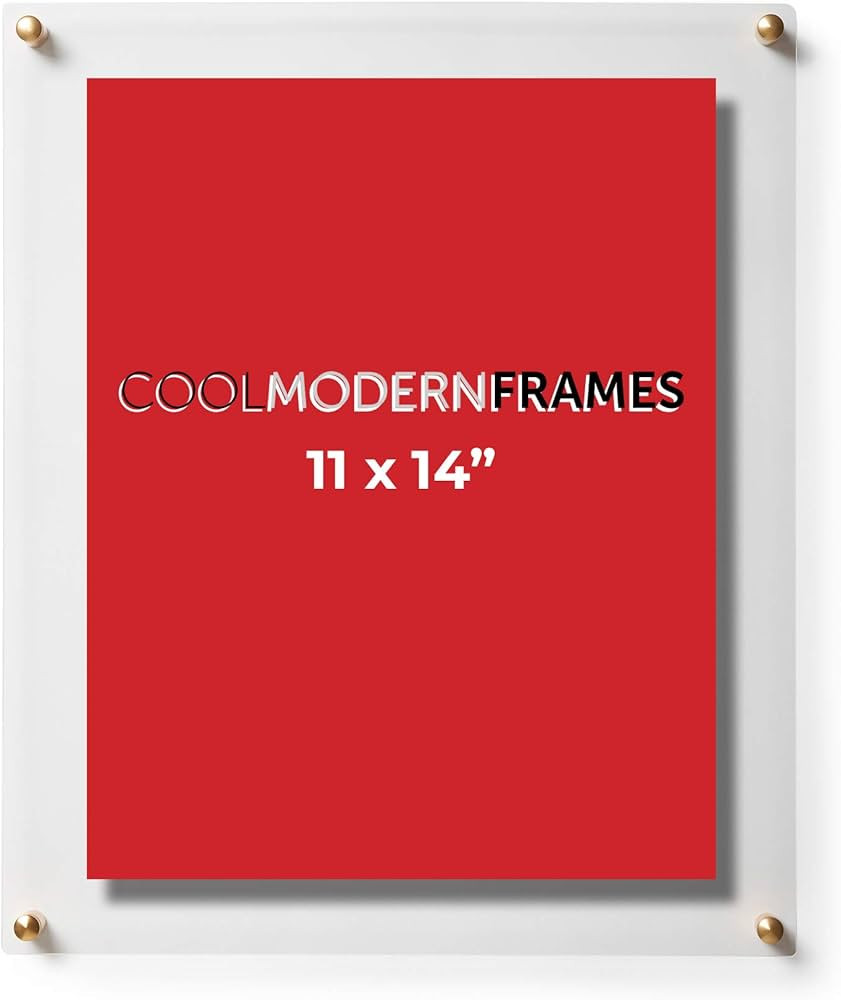 Cool Modern Frames Clear Floating Double Panel Acrylic Picture Frame, 11x14-Inch, Gold Hardware | Amazon (US)