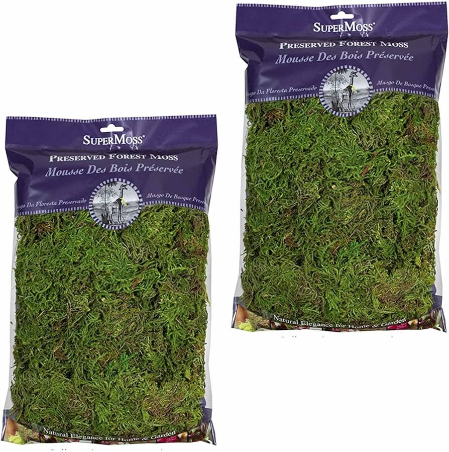 SuperMoss (25322) Forest Moss Preserved, Fresh Green, 8oz (2 Pack) | Amazon (US)