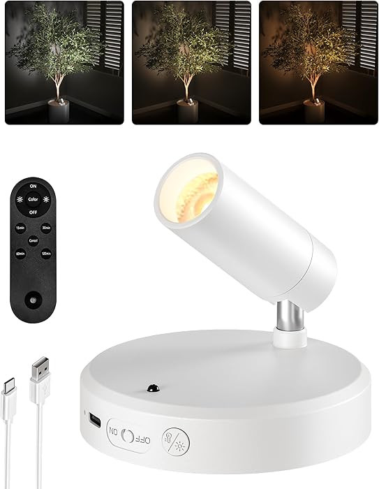 EZVALO LED Spotlight Mini Art Accent Spot Lights White | Amazon (US)