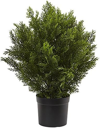 Amazon.com: Nearly Natural 6880 2’ Cedar Artificial Bush (Indoor/Outdoor), Green : Everything E... | Amazon (US)