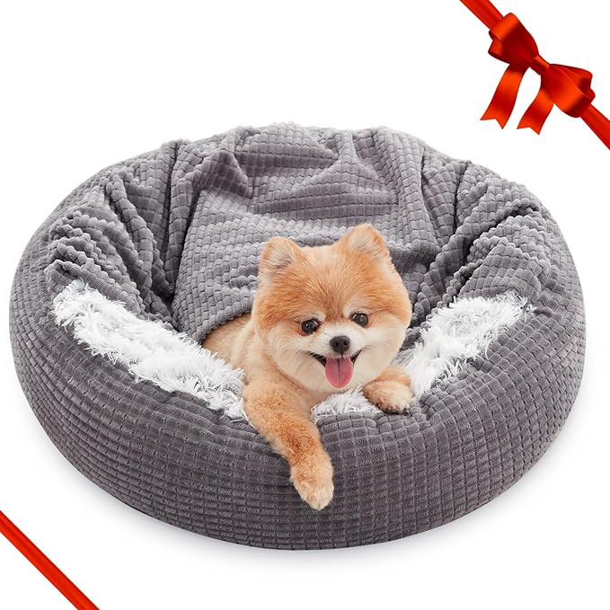 MIXJOY Small Dog Bed with Blanket, Round Calming Cozy Cave for Puppies, Soft Plush Cuddler, Anti-... | Amazon (US)