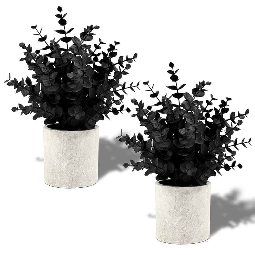 2 Pack Black Fake Eucalyptus Small Fake Plants Potted Artificial Plants for Halloween Decorations... | Amazon (US)