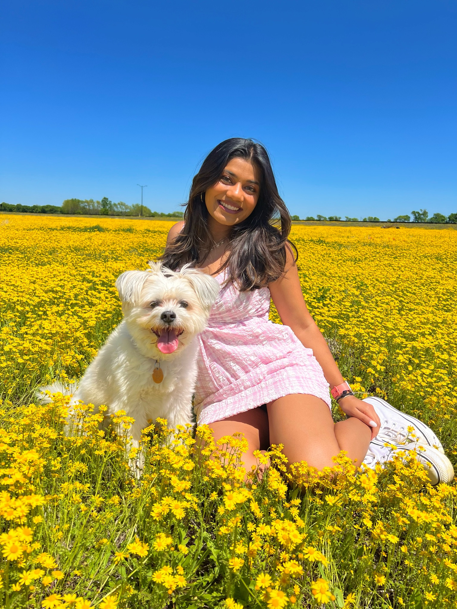 cute summer dress, pink dress, gingham dress, cute mini dress, pink and white dress, pastel colors, pastel dress, baby shower outfit idea, gender reveal outfit idea, baby shower dress, gender reveal dress, cute summer dress, summer outfit ideas, zara dress, photo shoot outfit idea 

#LTKstyletip