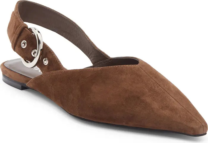 Scone Slingback Pointed Toe Flat (Women) | Nordstrom