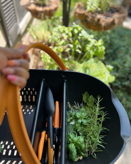 Learn how to create a thriving garden in your tiny outdoor space with our easy tips and affordable tools! Check out our blog post for the full step-by-step guide and product list all found @walmart or Walmart.com! https://liketk.it/4f8Z0 💚🌿 #ad #HerbGarden #SmallSpaceGardening #GardenTips #LTKHome #GreenThumbs

#LTKstyletip #LTKhome #LTKunder100