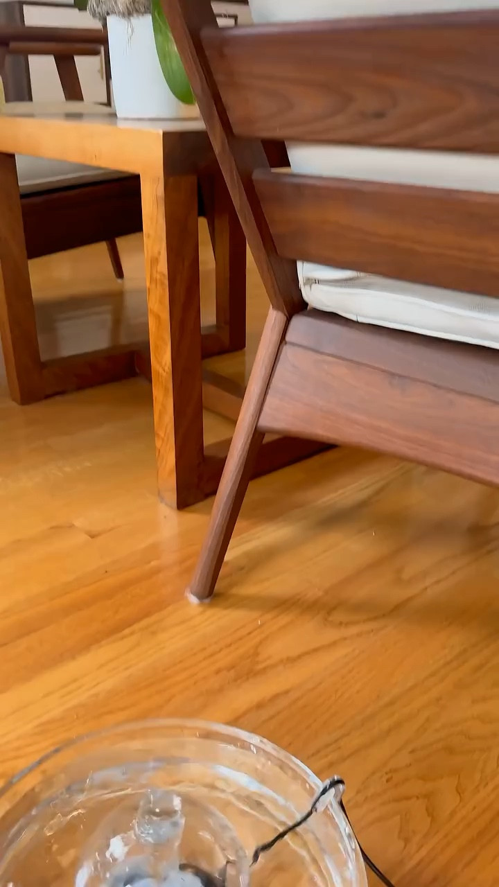 Most Cat Fountains are Disgusting (This One Isn't) | Brook Glass Fountain
#ad