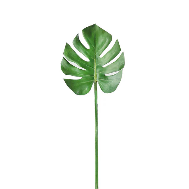 Monstera Palm Leaf - Set of 2 | Cailini Coastal