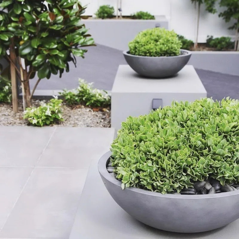 Aquita Handmade Pot Planter | Wayfair North America