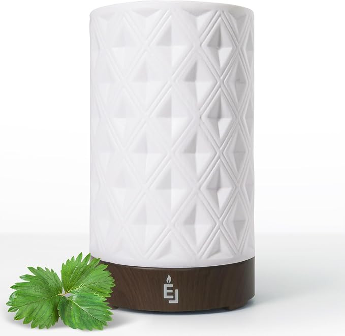 Earnest Living Essential Oil Diffuser for Home White Ceramic 100ml Aromatherapy Diffuser with 4 T... | Amazon (US)