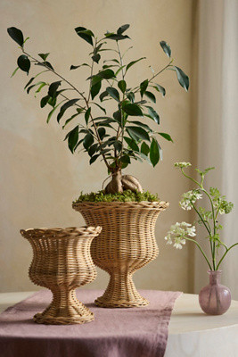 Footed Rattan Urn Planter | Anthropologie (US)