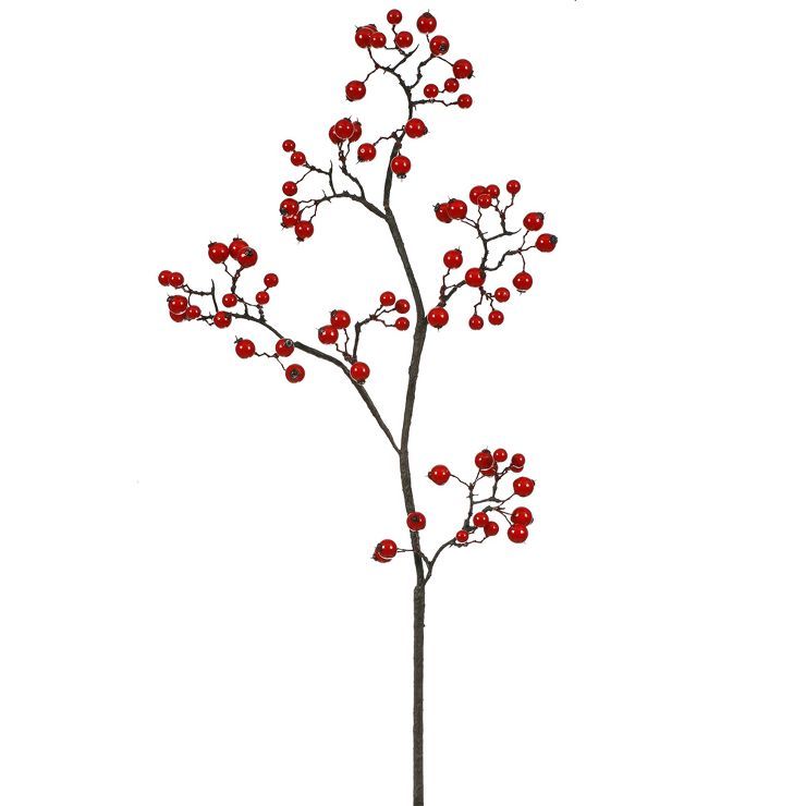 Vickerman 22" Red Mixed Berry Artificial Christmas Spray | Target