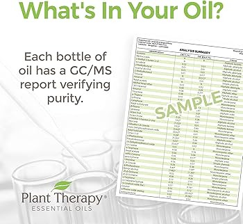 Plant Therapy Eucalyptus Radiata Essential Oil 30 mL (1 oz) 100% Pure, Undiluted, Therapeutic Gra... | Amazon (US)