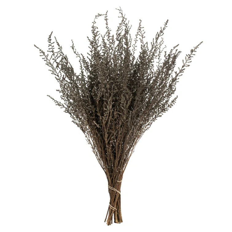 All Natural Stoebe Bundle, Preserved 14"-18" Stoebe Bundle, Preserved | Wayfair North America